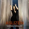 About Vazgeç Gönlüm Song