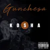 About Kosha Song
