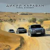 About Дикий караван Song