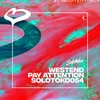 Pay Attention-Extended Mix