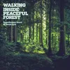 About Walking Inside a Peaceful Forest-Original Version Song