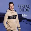 About Dillo Song