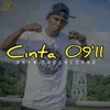 About Cinta 09'11 Song