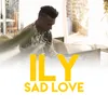 About Sad Love Song