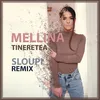 About Tineretea-Sloupi Remix Song