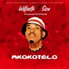 About Mkokotelo Song
