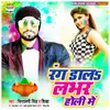 About Rang Dala Labhar Holi Me Song