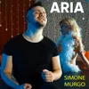 About Aria Song