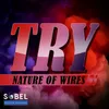 Try-Spin Sista Future X Radio Edit