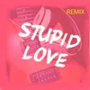 About Stupid Love-Remix Song