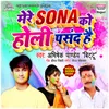 About Mere Sona Ko Holi Pasand Hai Song