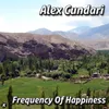 About Frequency of Happiness Song