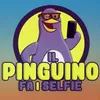 Il pinguino fa i selfie