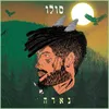 About סולו Song