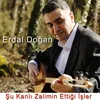 About Şu Kanlı Zalimin Ettiği İşler Song