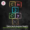 About Enjoy-David Bordalàs & Dani Maltinti Remix Song