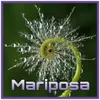 Mariposa