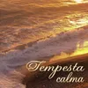 About tempesta calma Song