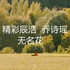 无名花-伴奏