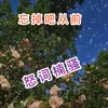 About 忘掉吧从前 Song