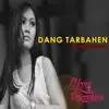 About Dang Tarbahen Song