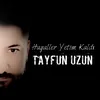 About Hayaller Yetim Kaldı Song