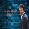 Segavi