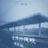 About 受尽冷风吹 Song