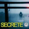About Secrete Song