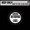 Deep in the Flow-House Mix