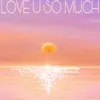 About Love U So Much Song