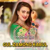 About Gul Zamong Kabul Song