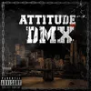 About Attitüde DMX Song
