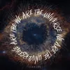 We Are the Universe