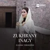 About Zukhrany Inagy Song