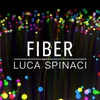 Fiber