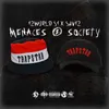 About Menaces 2 Society Song