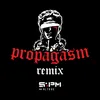 About Propagasm-Remix Song