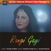 About Rangi Gayi Song