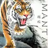 About Manta-纯音乐 Song