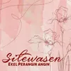 Sitewasen