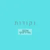 About נקודות Song