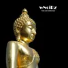 About White noise buddist chant-Therapeutical Immersive Sounds Song