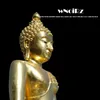 About praying in the buddist temple in a sunny day short with sine wave spin shortest-Therapeutical Immersive Sounds Song