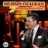 About Mardin Kardeşlik Diyarı Song