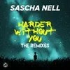 Harder Without You Danny Fervent Remix