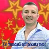 About Tu Esti Fata Frumusica Song