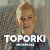 About Nie Ukryjesz Song