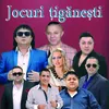 About Joc Tiganesc Song