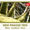 Piano Trio: Andante con espressione